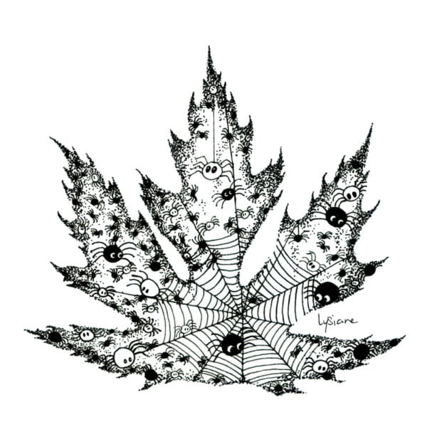 Inktober 2023 - Spiders, Lysiane Binet