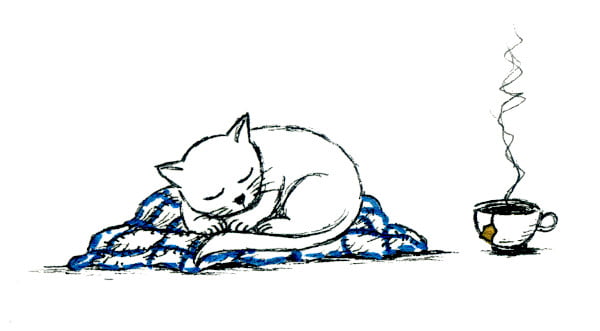 Dessin chat qui dort avec tasse de thé, ambiance cosy