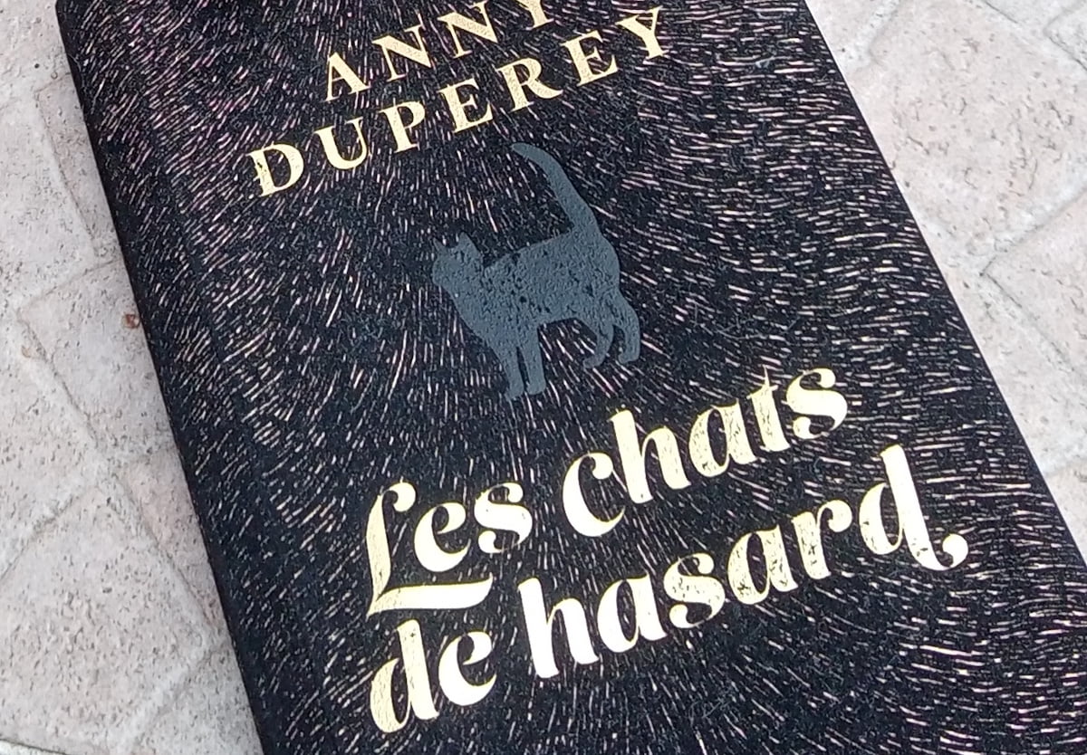 Chats de hasard, Anny Duperey