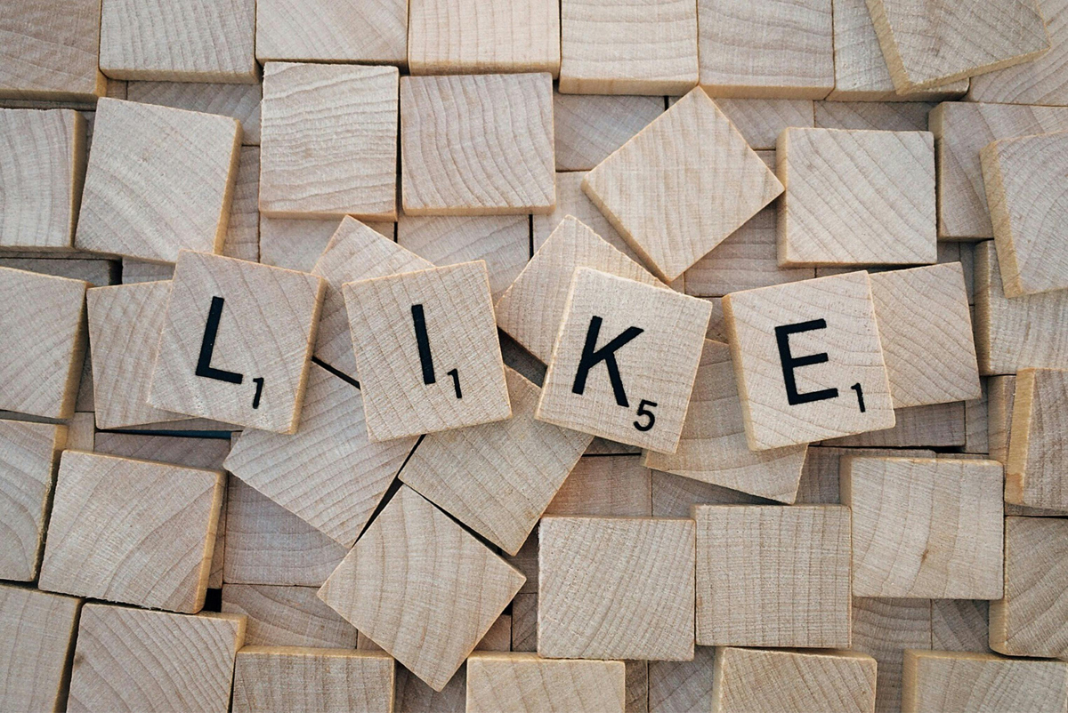 Question de réseaux sociaux, la suite