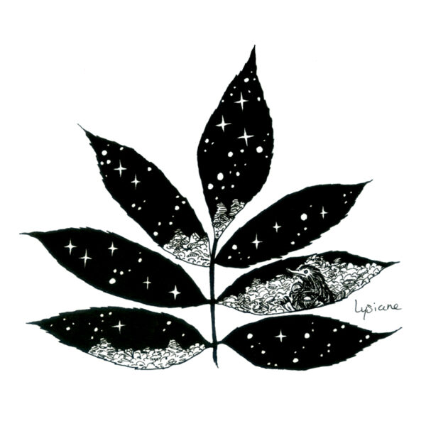 Inktober 2023 - Sparkle, Lysiane Binet