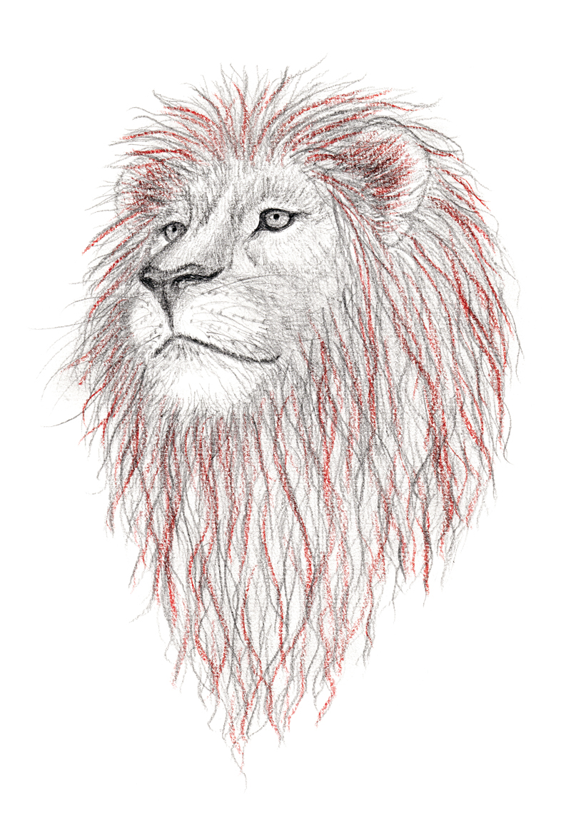 Le lion, extrait du Pays du Dragon et autres contes