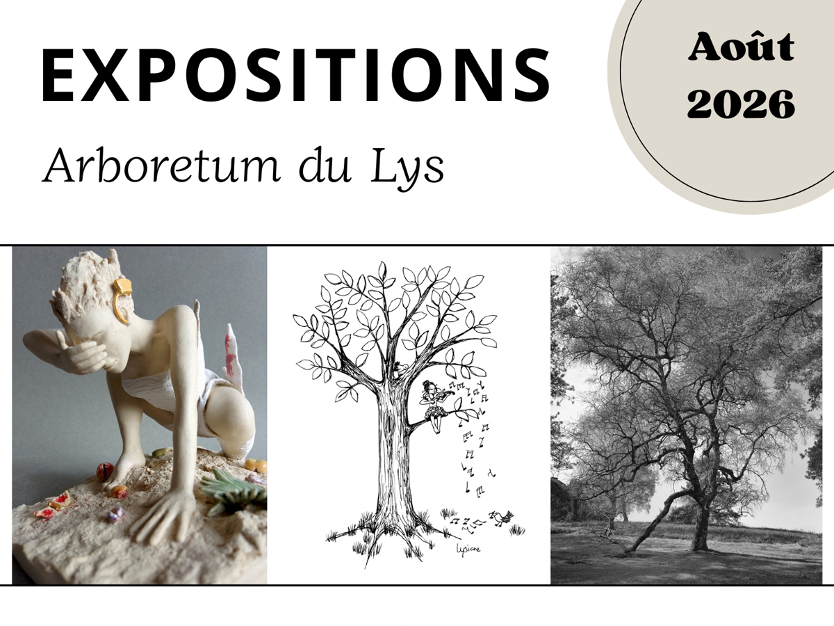 Expositions à l'Arboretum du Lys août 2026