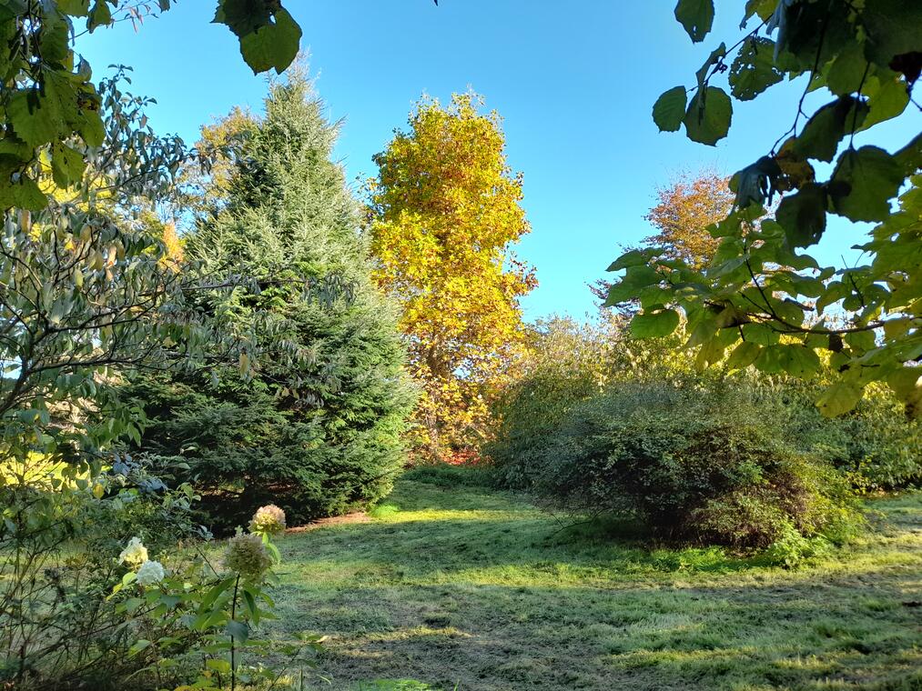 Expositions à l'Arboretum du Lys août 2026