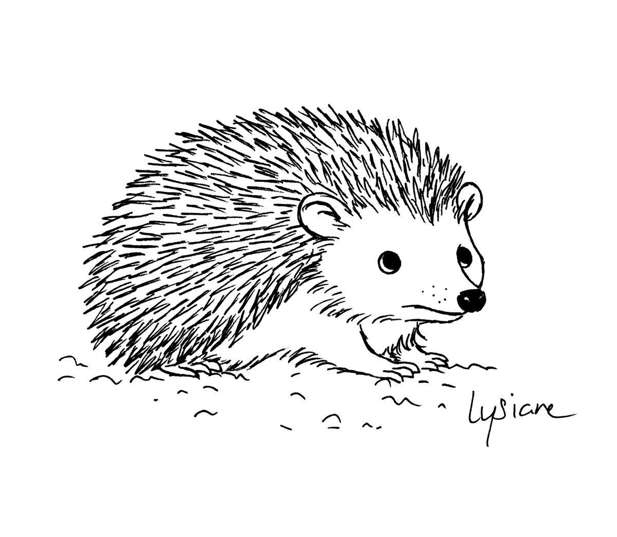 Hérisson mignon, dessin original Lysiane Binet