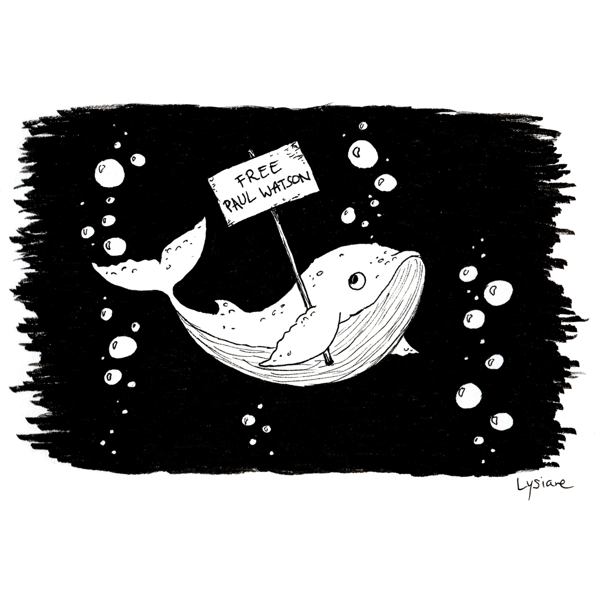 Baleine mignonne, dessin original "Free Paul Watson"