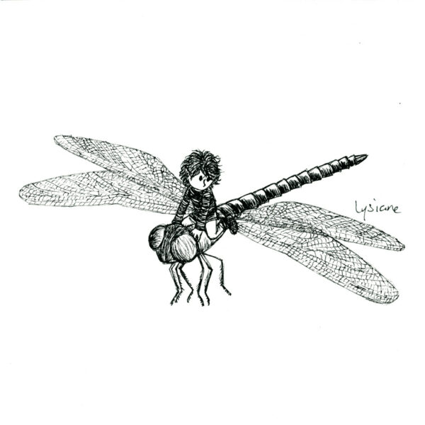 Survol, dessin à l'encre Lysiane Binet