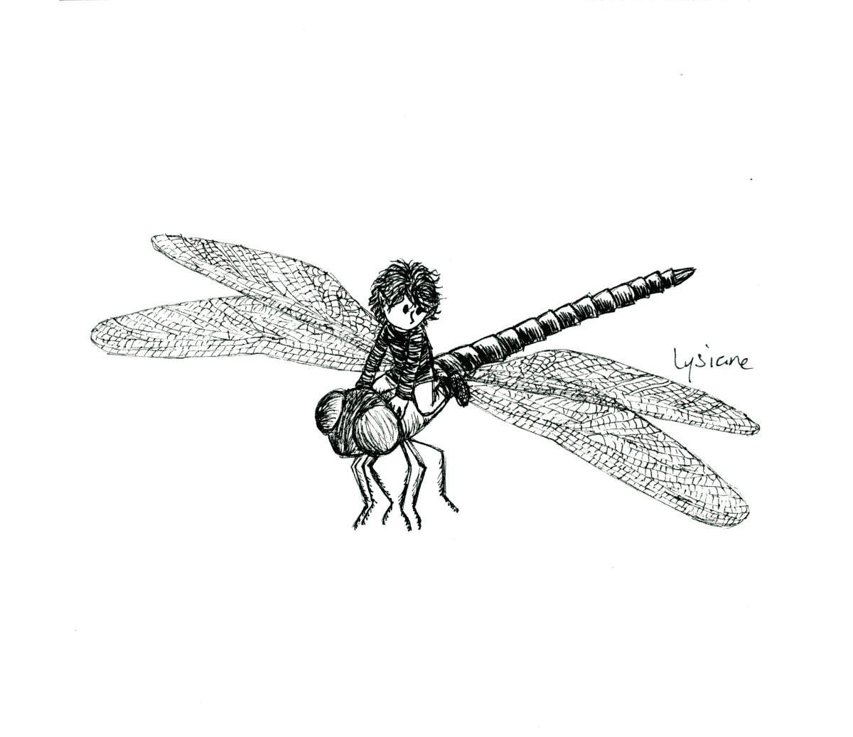 Survol, dessin à l'encre Lysiane Binet