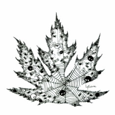 Jour 2 : Araignées, sur feuille d'érable argenté Inktober 2023 - Spiders, Lysiane Binet