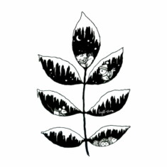 Jour 20 : Givre, sur feuille de frêne blanc Inktober 2023 - Frost, Lysiane Binet