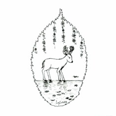 Jour 24 : Peu profond, sur feuille d'orme Inktober 2023 - Shallow, Lysiane Binet