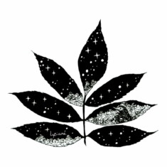 Jour 28 : Scintiller, sur feuille de sureau rouge du Pacifique Inktober 2023 - Sparkle, Lysiane Binet