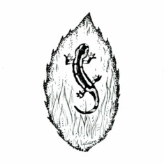 Jour 31 : Feu, sur feuille de chêne liège Inktober 2023 - Fire, Lysiane Binet