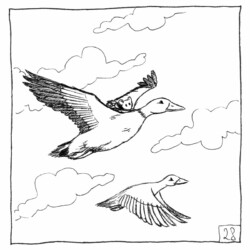 Inktober 2024 - Jumbo, Lysiane Binet