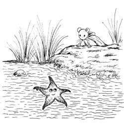 Inktober 2025 Jour 7 : Etoile de mer